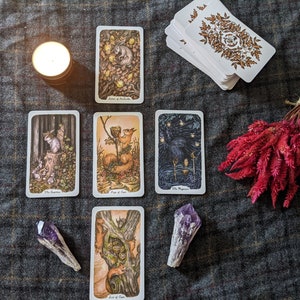 Finding Love Tarot Reading