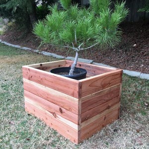 Könnte beinhalten: Eine quadratische Pflanzkiste aus rötlich-braunen Holzbrettern. Ein kleiner immergrüner Baum mit grünen Nadeln ist in einem schwarzen Topf in der Kiste gepflanzt. Der Pflanzkasten steht auf einem Rasen.