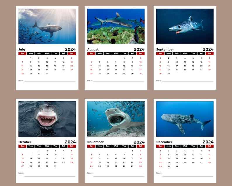 Sharks 2025 Calendar Etsy