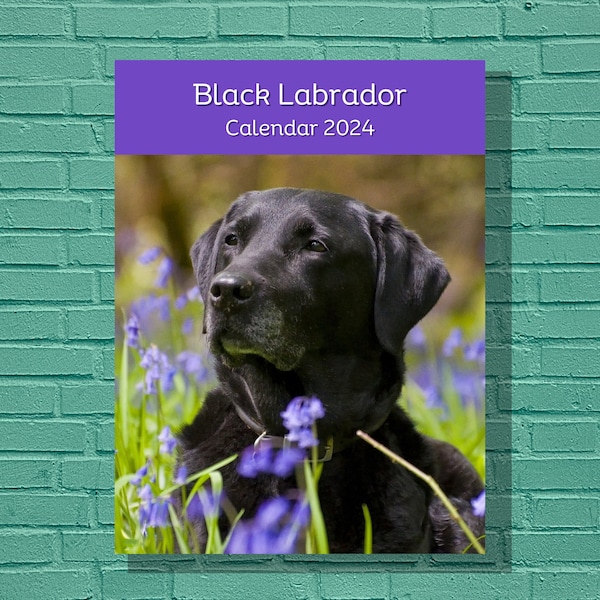 Black Lab 2024 Calendar Etsy