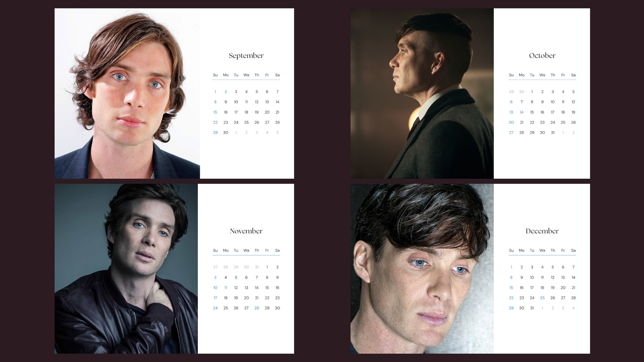 Cillian Murphy 2024 Calendar Printable Etsy UK