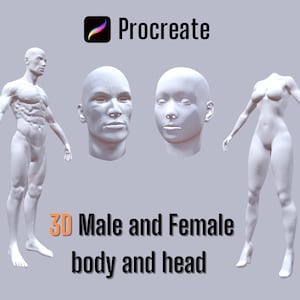Procreate 3D tatoo model Male Female Body and Head | 3D Male Female Body mockup | Procreate 3D model tatoo artist