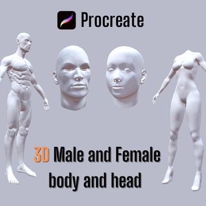May include: 3D model of a male and female body and head. The models are white and have a smooth, realistic texture. The text "Procreate" is visible in the top right corner of the image.