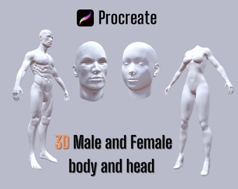 Procreate 3D tatoo model Male Female Body and Head | 3D Male Female Body mockup | Procreate 3D model tatoo artist