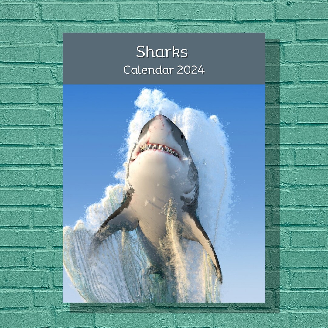Sharks 2024 Calendar Etsy