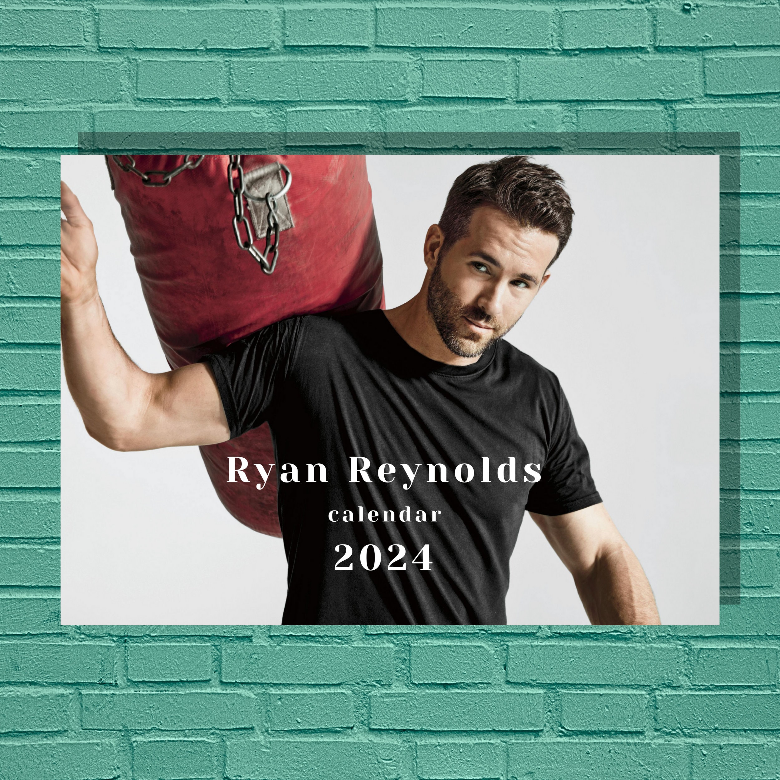 Ryan Reynolds fan merchandise, pillows, shirt, tapestry, coloring book,  notebook