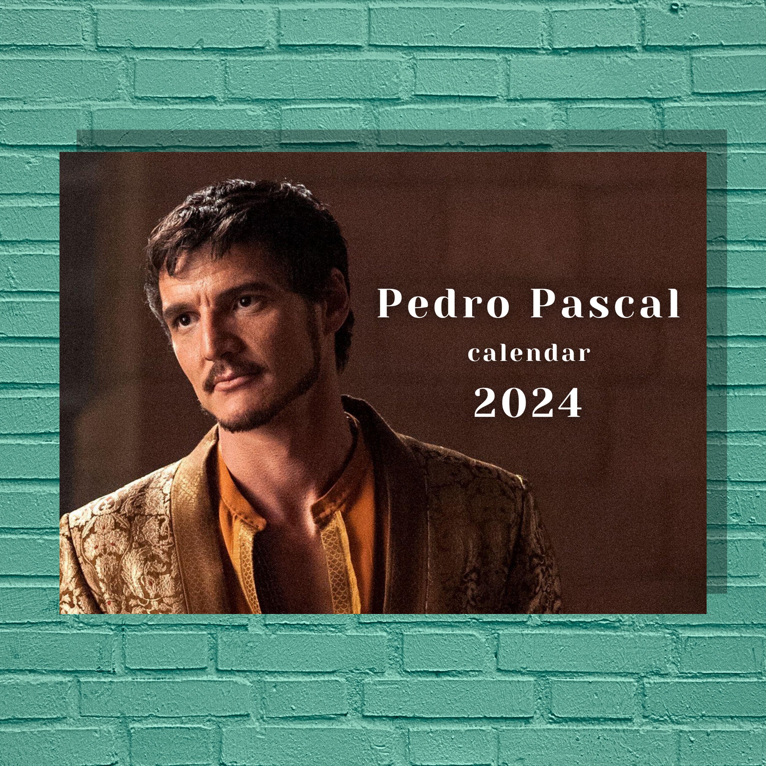 Pedro Pascal 2025 Calendar Etsy