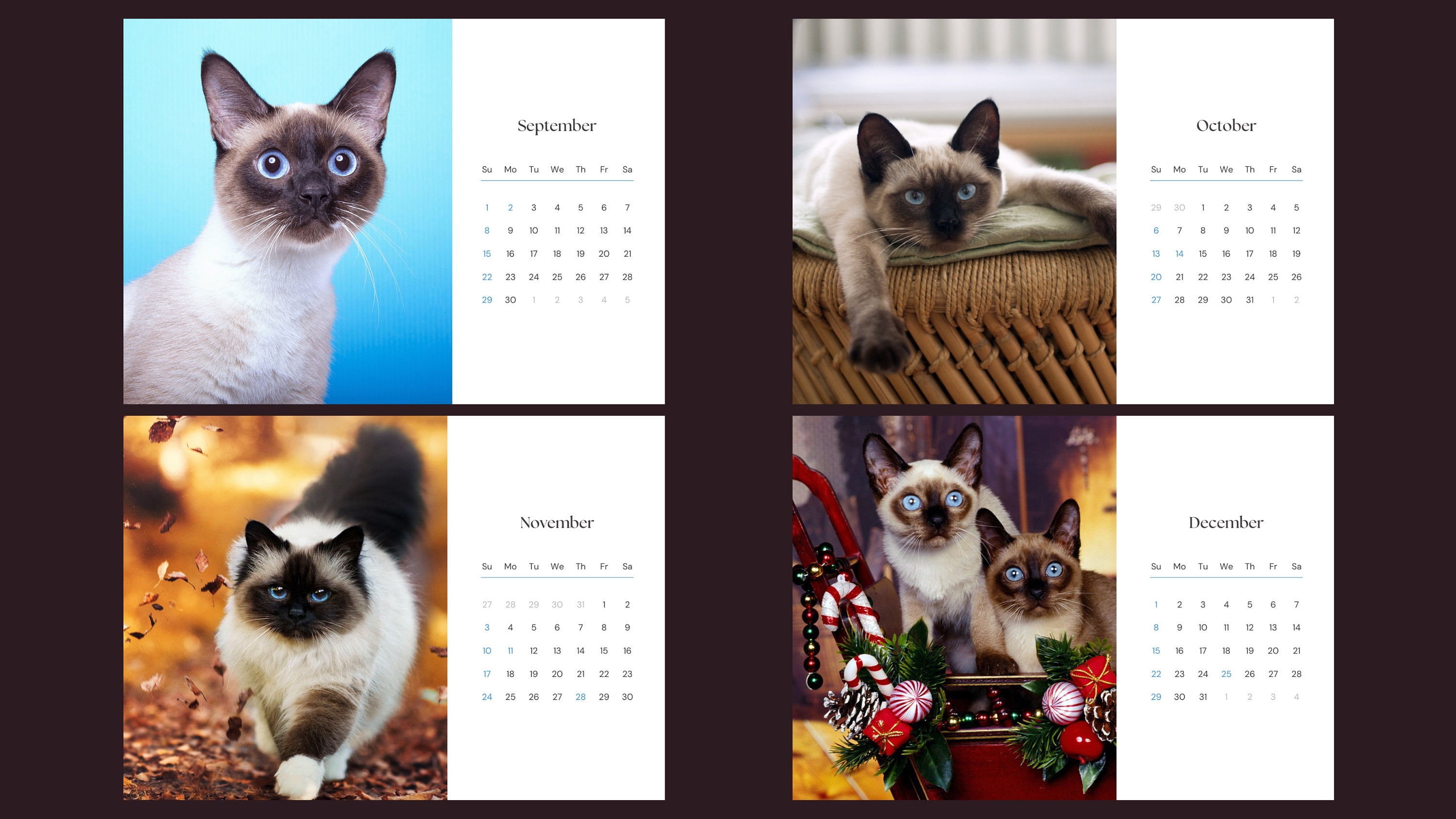 Siamese Cats 2024 Calendar Etsy