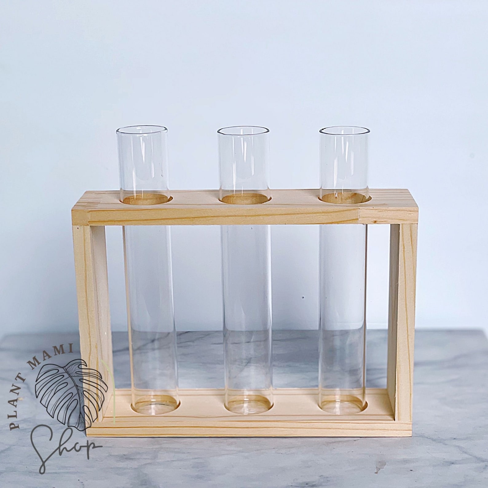 Propagation station Plant tubes Glass Propagation Vase Etsy