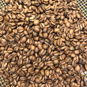 A large pile of roasted coffee beans with a medium brown colour. The beans are scattered across a metallic mesh surface with a grid pattern, showing varied shapes and sizes of individual roasted coffee seeds.