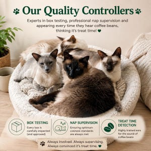 The Barista Cata! Four Siamese cats resting in a round, cream-coloured, textured pet bed. The image includes text: Our Quality Controllers, Experts in box testing, professional nap supervision and appearing every time they hear coffee beans, thinking it's treat time!