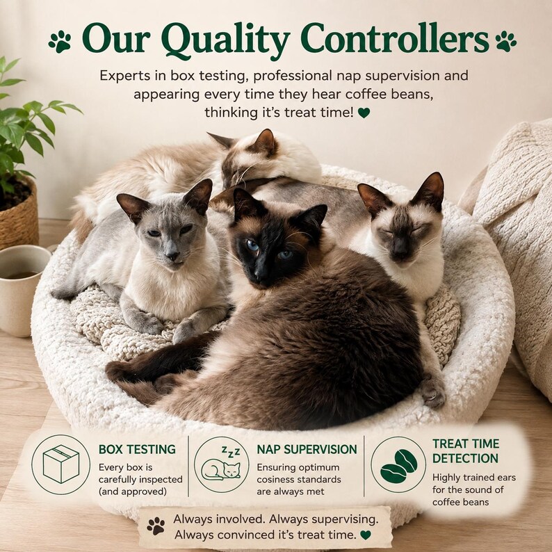 The Barista Cata! Four Siamese cats resting in a round, cream-coloured, textured pet bed. The image includes text: Our Quality Controllers, Experts in box testing, professional nap supervision and appearing every time they hear coffee beans, thinking it's treat time!