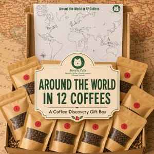 Around The World Coffee Tasting Box, Coffee Gift Set, Coffee Sampler for Coffee Lovers – 5 or 12 Specialty Freshly Roasted Coffees