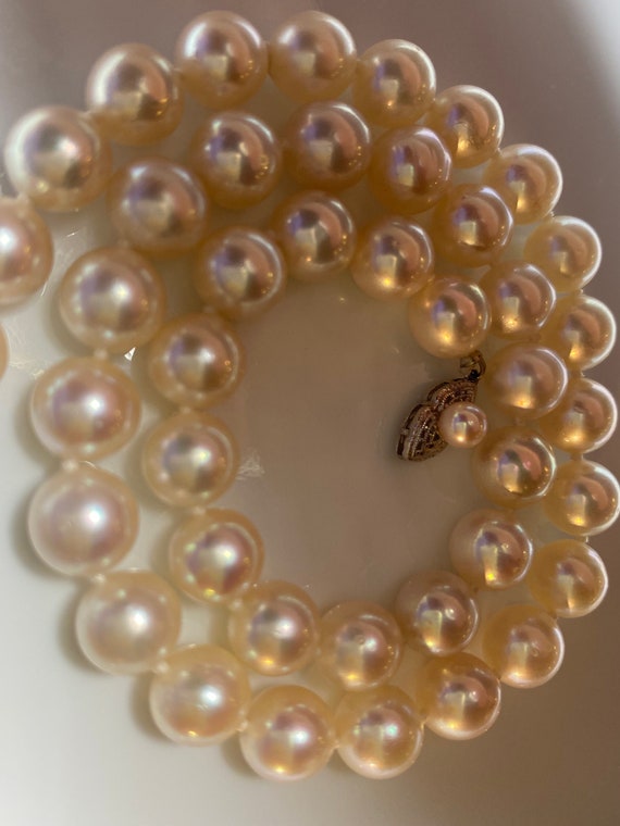 Authentic Japanese Akoya Pearl Necklace - image 5