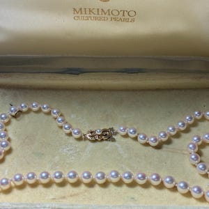 Mikimoto Case - Etsy