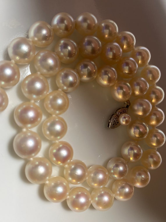 Authentic Japanese Akoya Pearl Necklace - image 4