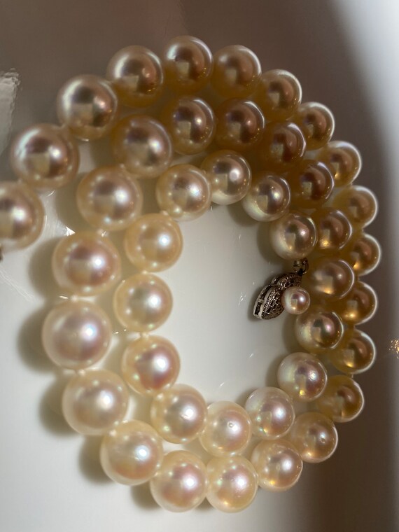 Authentic Japanese Akoya Pearl Necklace - image 2