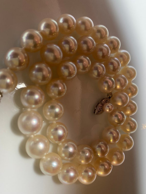 Authentic Japanese Akoya Pearl Necklace - image 3