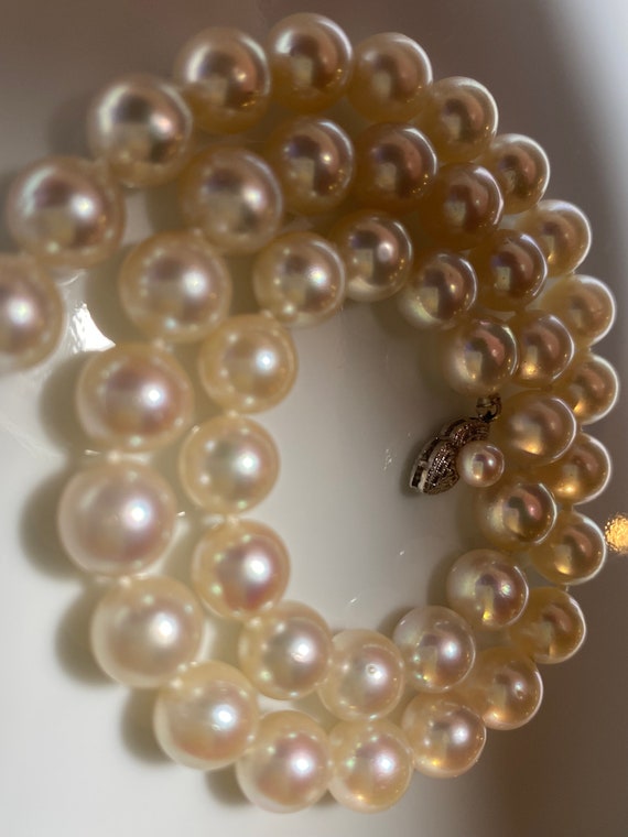 Authentic Japanese Akoya Pearl Necklace - image 1