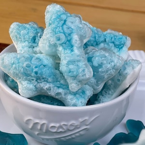 Freeze Dried Gummy Sharks
