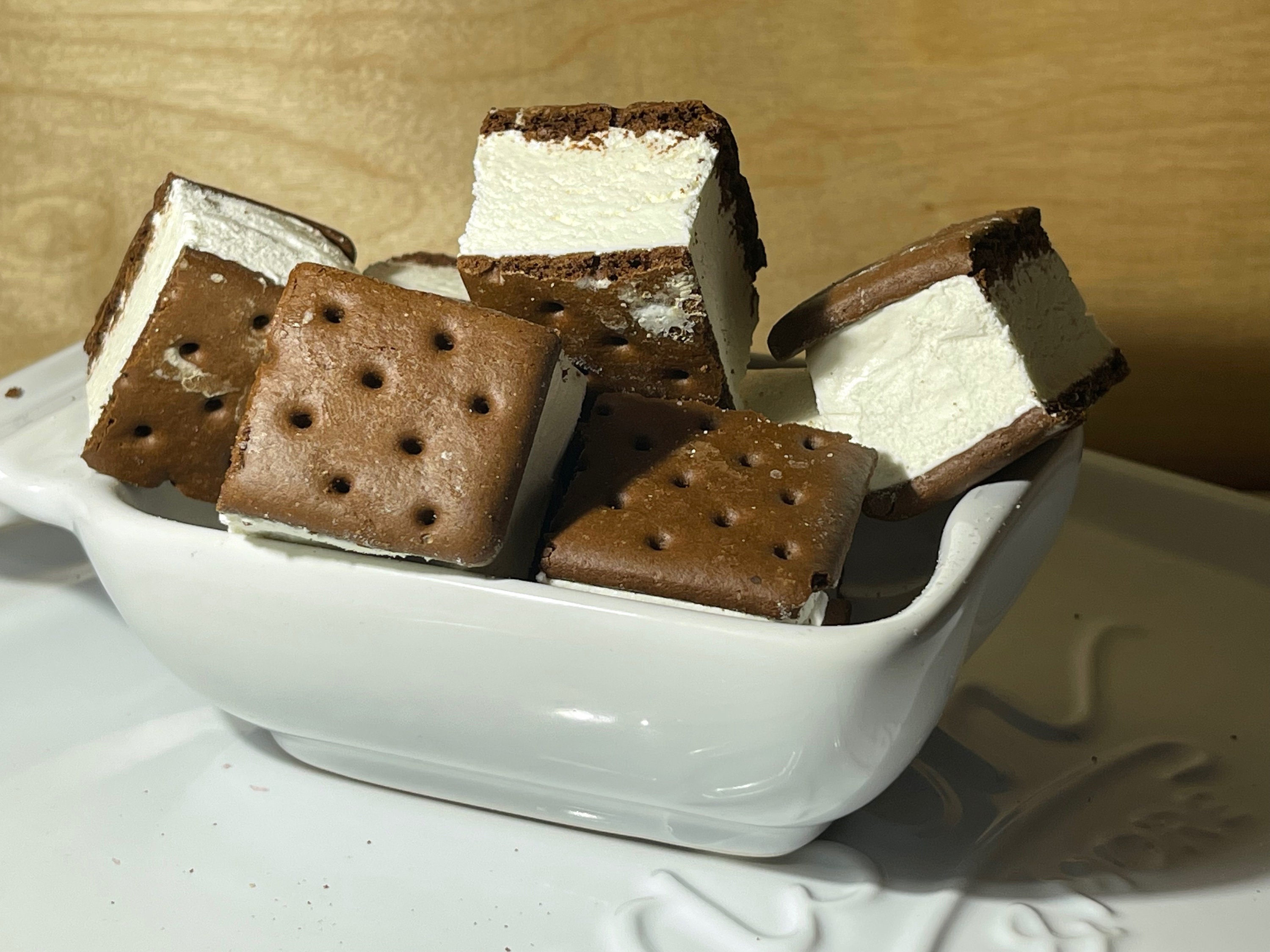LIMITED RUN Freeze Dried Fat Boy Ice Cream Sandwiches Bites Etsy Canada
