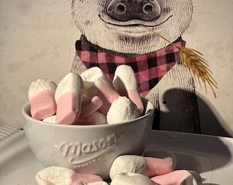 Freeze Dried Raspberry and Cream Bites
