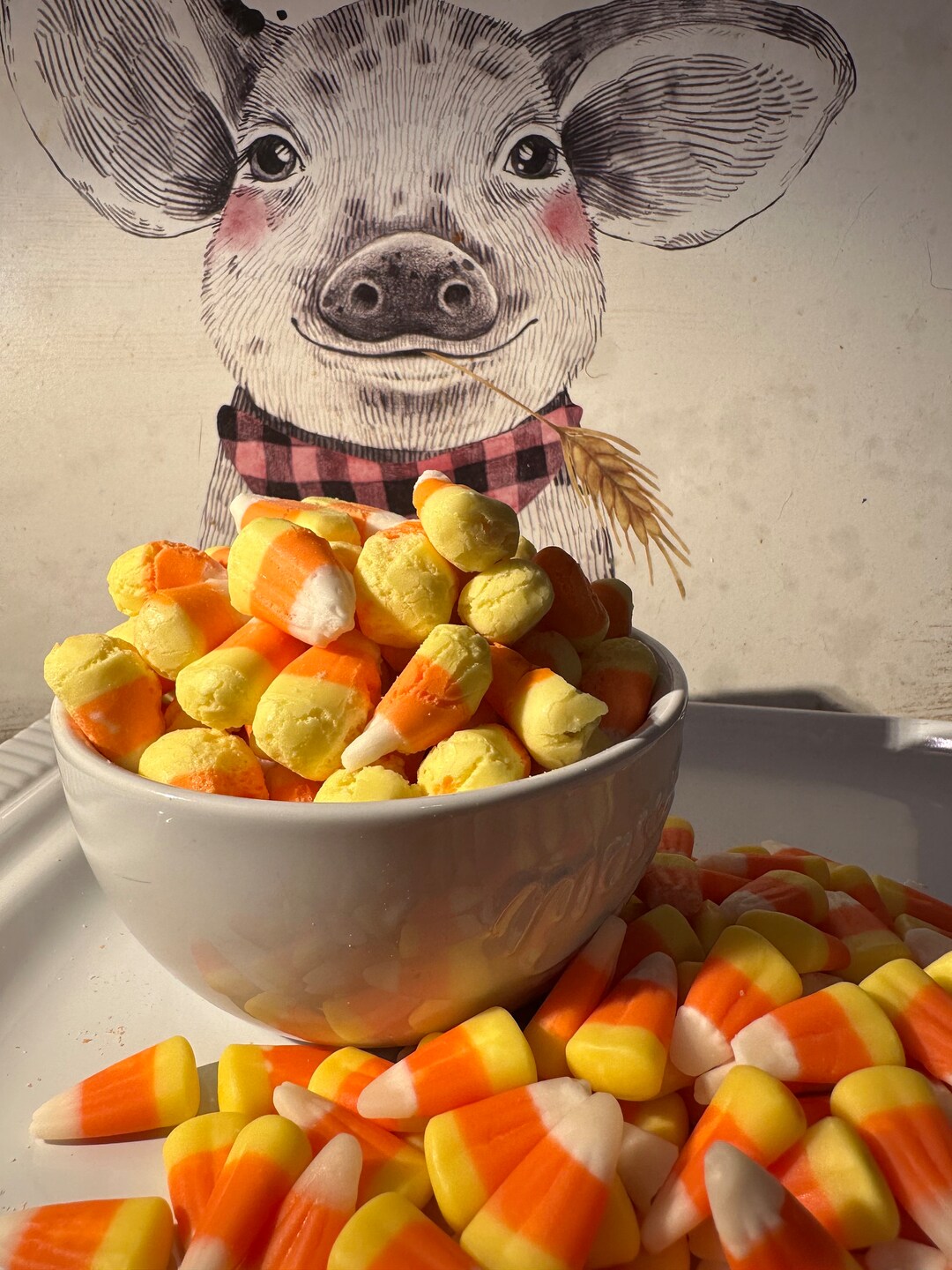 Freeze Dried Candy Corn Etsy