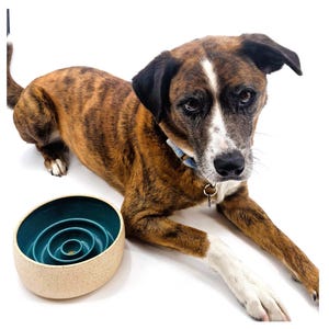 Bare Clay Slow Feeder Handmade Ceramic Dog Bowl | Puzzle Toy | Pet Feeder | Pottery | Healthy Eating | Dog Dish zdjęcie 7