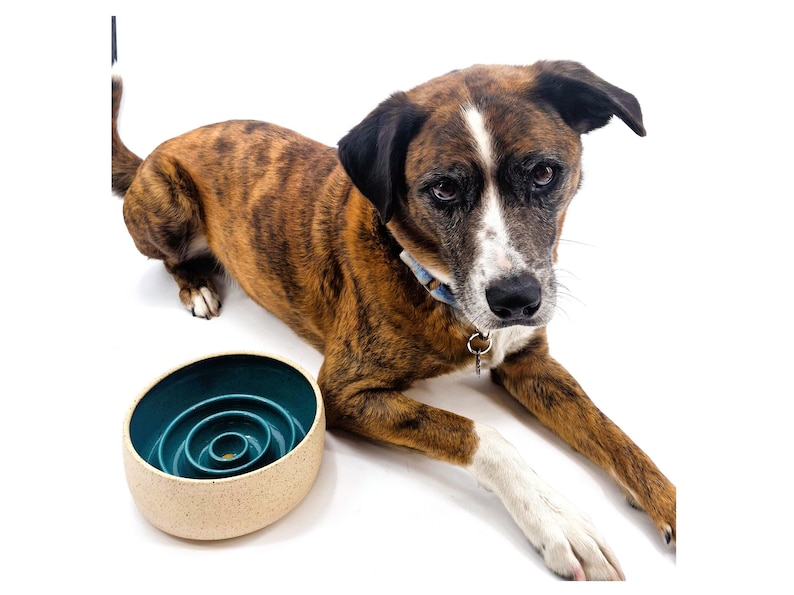 Bare Clay Slow Feeder Handmade Ceramic Dog Bowl | Puzzle Toy | Pet Feeder | Pottery | Healthy Eating | Dog Dish zdjęcie 7