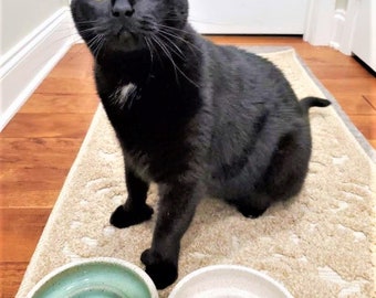 Slow Feeder Handmade Ceramic Cat Bowl