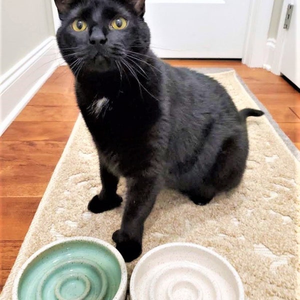 Slow Feeder Handmade Ceramic Cat Bowl