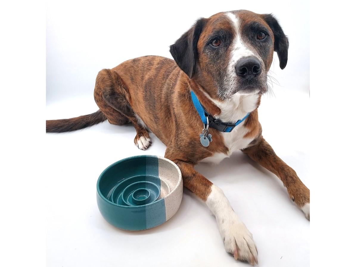 Three Tone Slow Feeder Handmade Ceramic Dog Bowl | Pottery Puzzle Toy Healthy Eating Dish