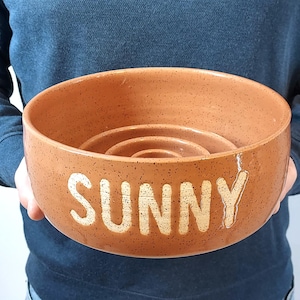 May include: A brown ceramic dog bowl with a raised rim and a white inscription that reads "SUNNY".