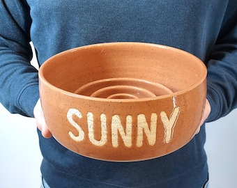 May include: A round, speckled terracotta-colored ceramic bowl featuring the word SUNNY embossed in large, light-colored capital letters on the front. The interior of the bowl contains three concentric circular ridges rising from the center base.