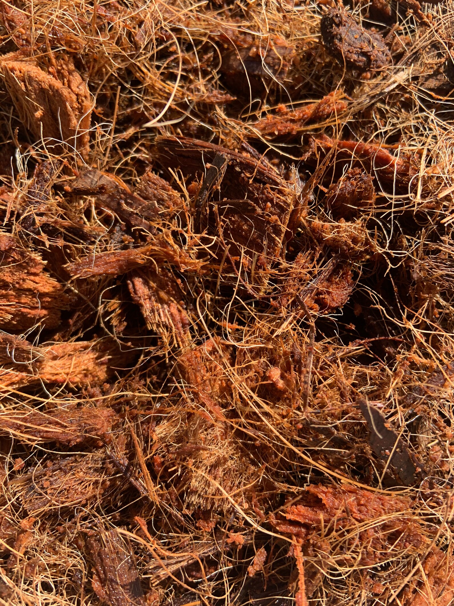 1 CUP Bag Coco Husk Fiber Mulch for Top Dressing Plants Etsy