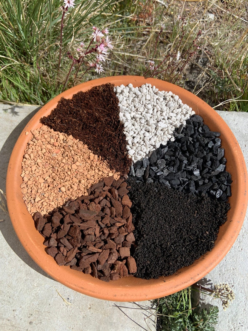 Eden's Best Cactus & Succulent Potting Mix Gritty Soilless Etsy