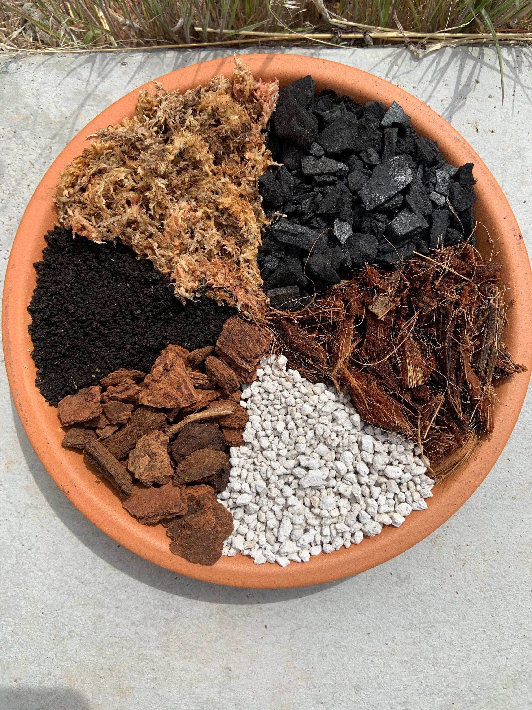 Aroid & Terrarium Mix Indoor Greenhouse Soil Free Medium Etsy