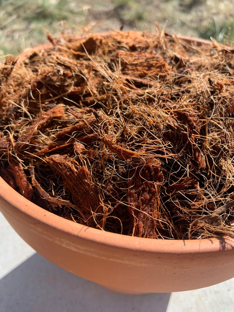 1 QUART Bag Coco Husk Fiber Mulch for Top Dressing Plants Etsy