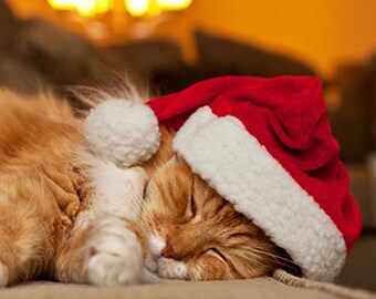 Costume De Pere Noel Chien Etsy France