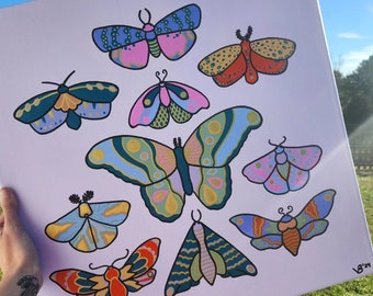 Colorful Moths