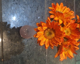 orange sunflower