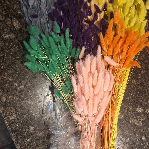 Dried Lagurus, Colourful Dried Bunny Tails, 60 stems, Excellent Quality Dyed Bunny Tails in Orange. Pink, Purple, Green, Yellow, Grey, Beige