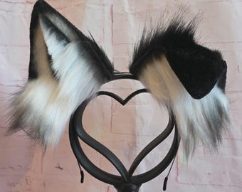 Black and White Puppy Ears