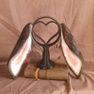 Brown and White Lop Bunny Ears