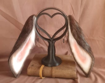 Brown and White Lop Bunny Ears