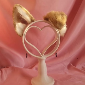 Shiba Inu Puppy Ears