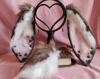 Brown and White Lop Bunny Ears and Tail
