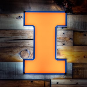 Collegiate Licensed Illinois I, Illini Dorm Room , NCAA Team Gift, Fighting Illini Wall Art, Game Day Room Accent, Illinois Student Decor