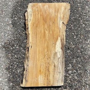 Spalted Maple (LIMITED TIME)