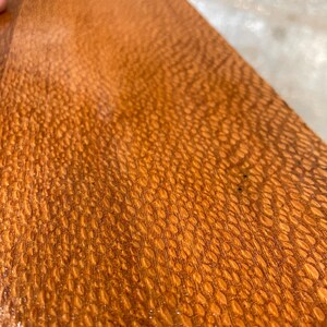 Leopardwood (24